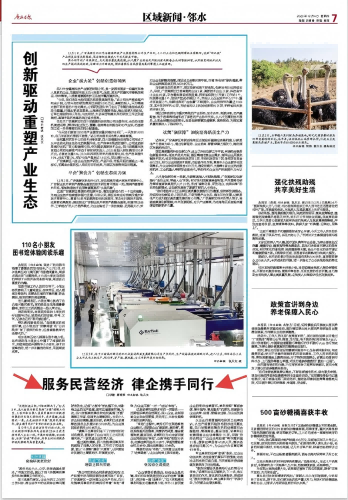 服务民营经济 律企携手同行